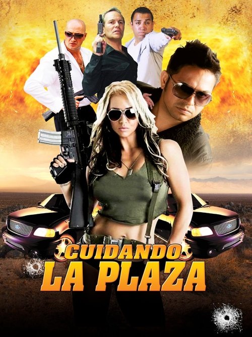 Poster do filme Cuidando la plaza