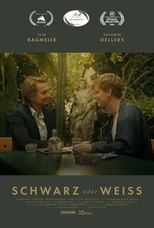Schwarz oder Weiss movie poster