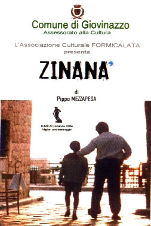 Zinanà movie poster