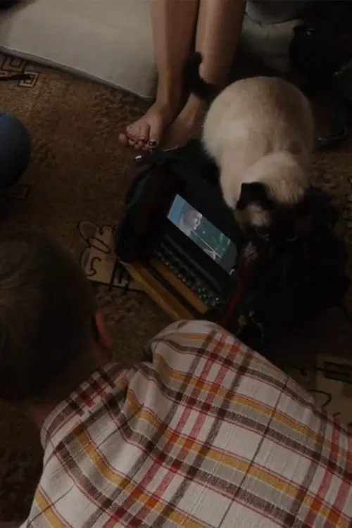 On the site movie poster