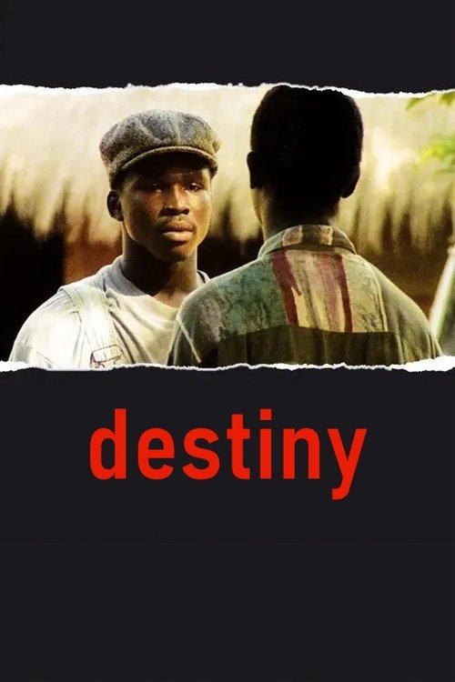 Destiny movie poster