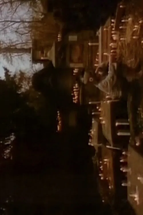 Hommage à Hölderlin movie poster