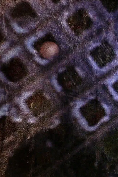 Hotel Bardo movie poster