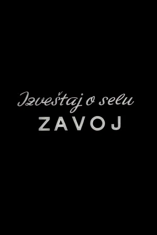 Report from the Zavoj Village movie poster