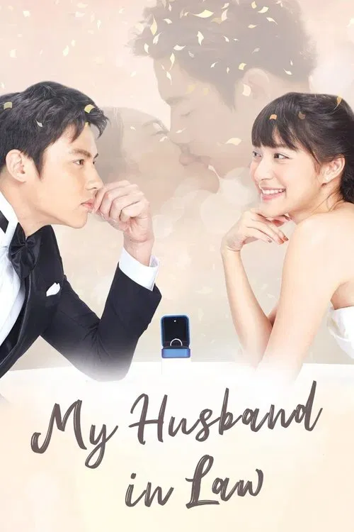 My Husband in Law tv show poster