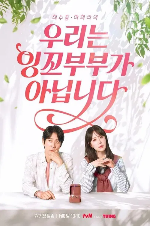 우리는 잉꼬부부가 아닙니다 tv show poster