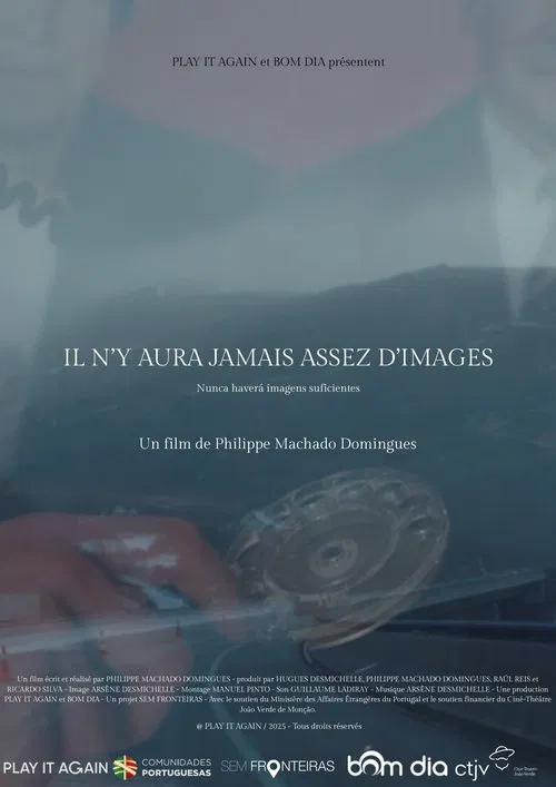 Il n'y aura jamais assez d'images movie poster