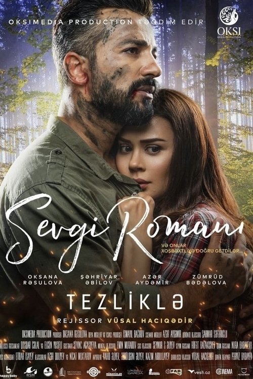 Romance Novel movie poster