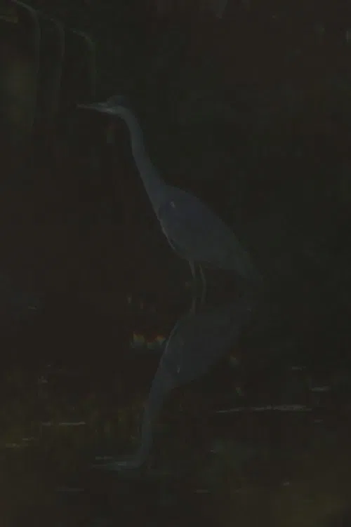 The Loom movie poster