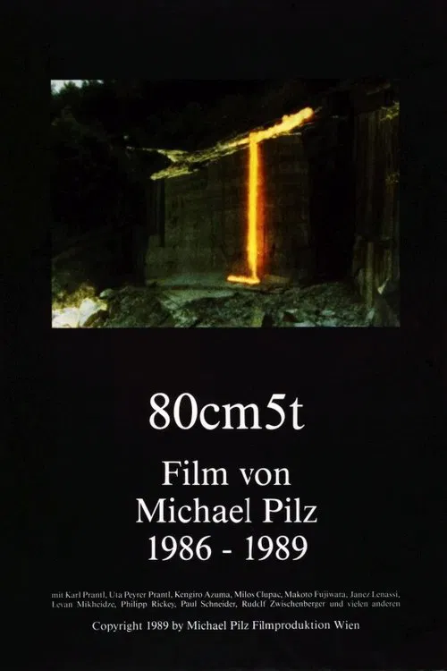 80cm 5t movie poster