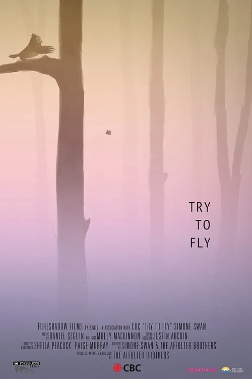 Poster do filme Try to Fly