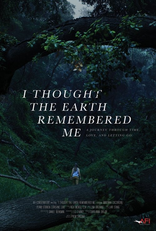 I Thought the Earth Remembered Me movie poster