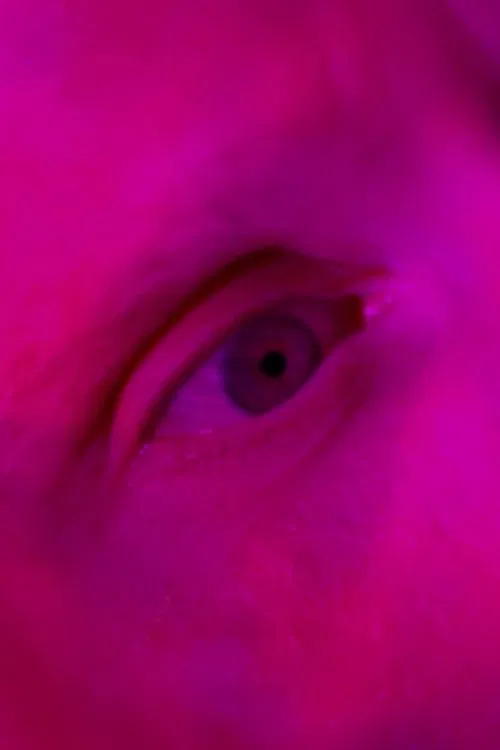 Endliche Erinnerungen movie poster