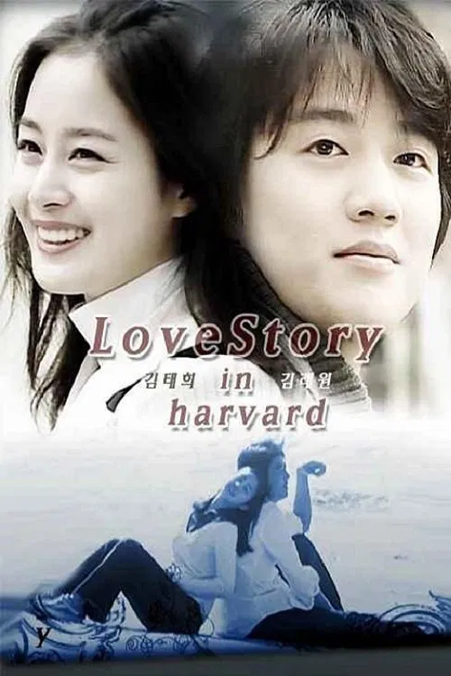 Love Story in Harvard tv show poster