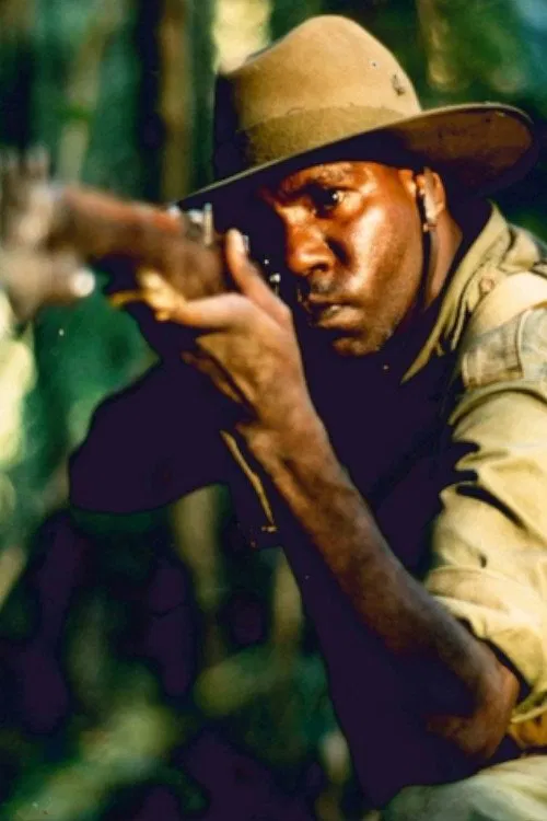 Poster do filme Harry's War