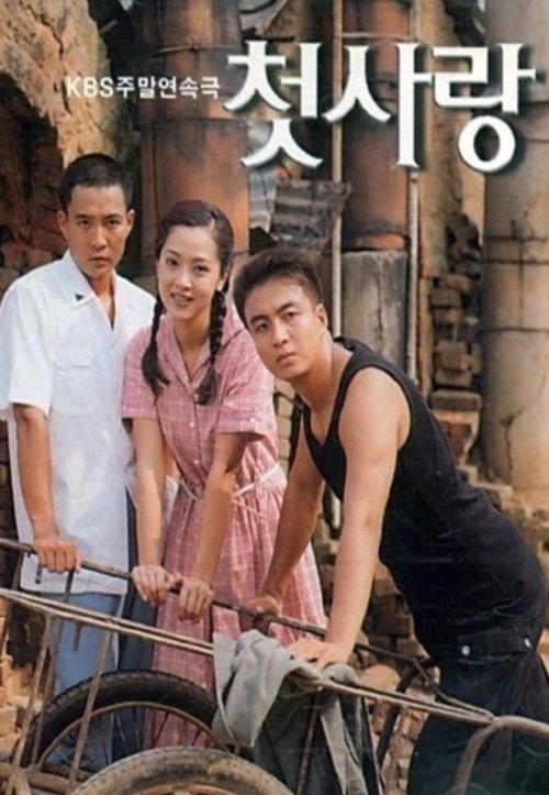 First Love tv show poster
