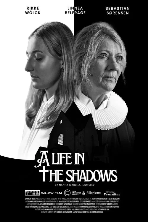 A Life In The Shadows movie poster