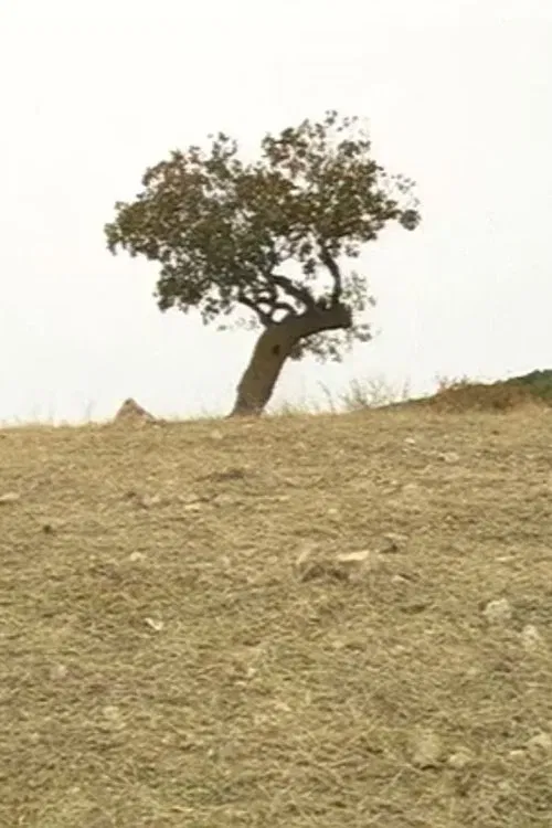 Any Time in October movie poster