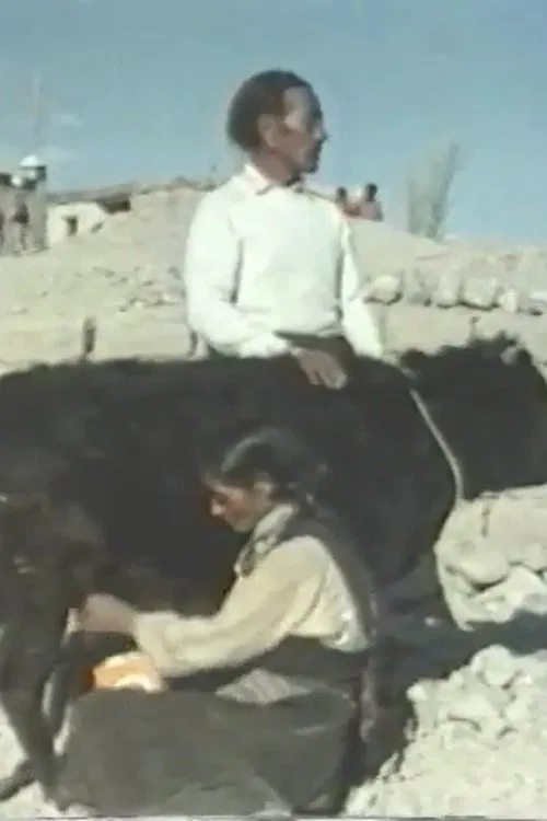 Echoes From Tibet movie poster