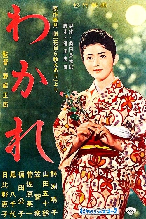 Love in the Mountains movie poster