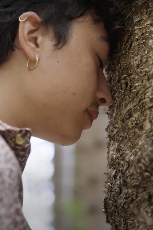 Ka ʻāʻumeʻume movie poster