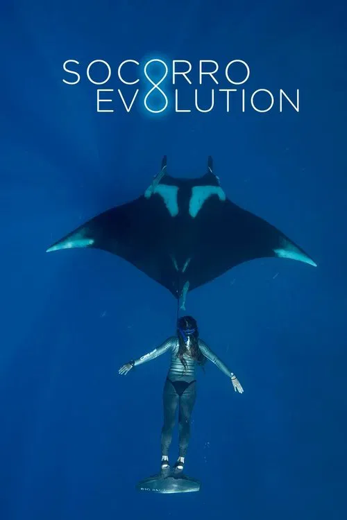 Poster do filme Socorro Evolution