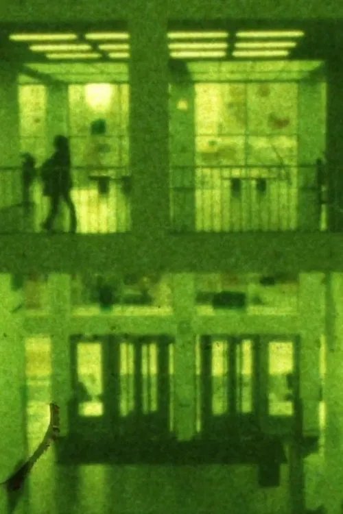 Sunday, Monday And Tuesday I Was Out Of Film In Chicago movie poster