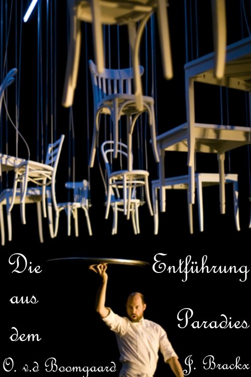 Die Entführung aus dem Paradies movie poster