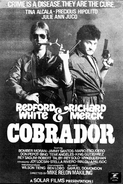 Poster do filme Cobrador