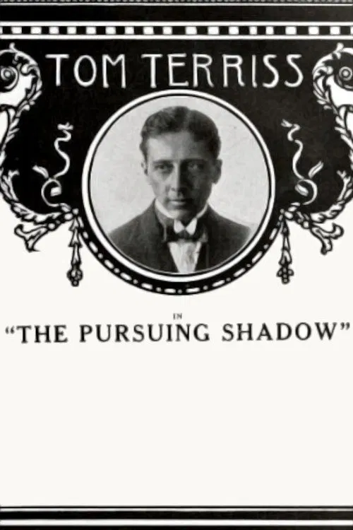 The Pursuing Shadow movie poster