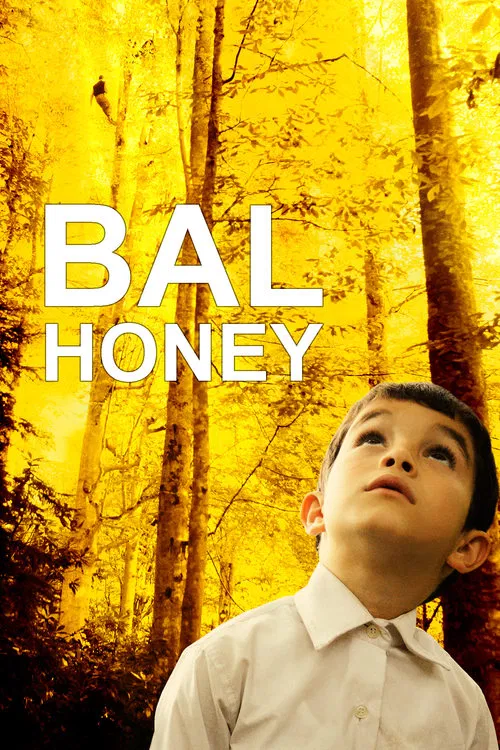 Poster do filme Um Doce Olhar