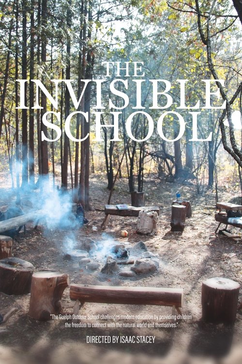 Poster do filme The Invisible School