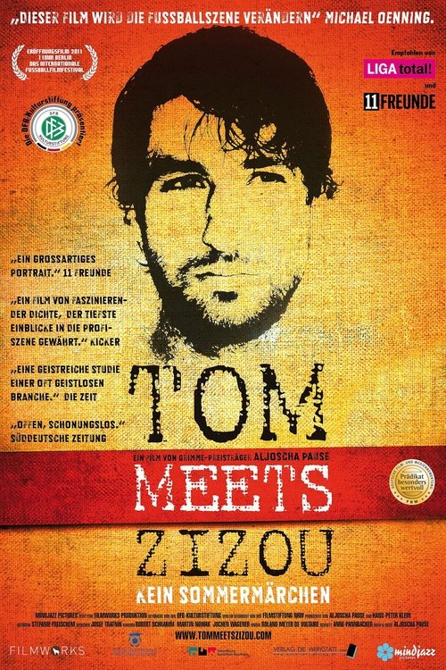 Tom meets Zizou - Kein Sommermärchen movie poster