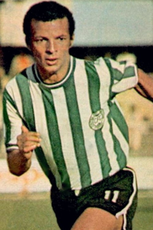 Aladim Luciano profile picture