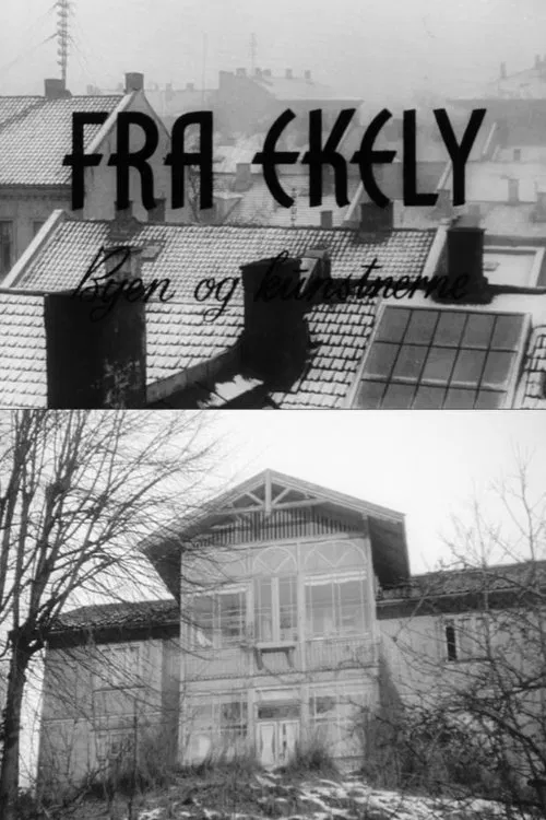 Oslofilm: From Ekely. The city and the artists movie poster