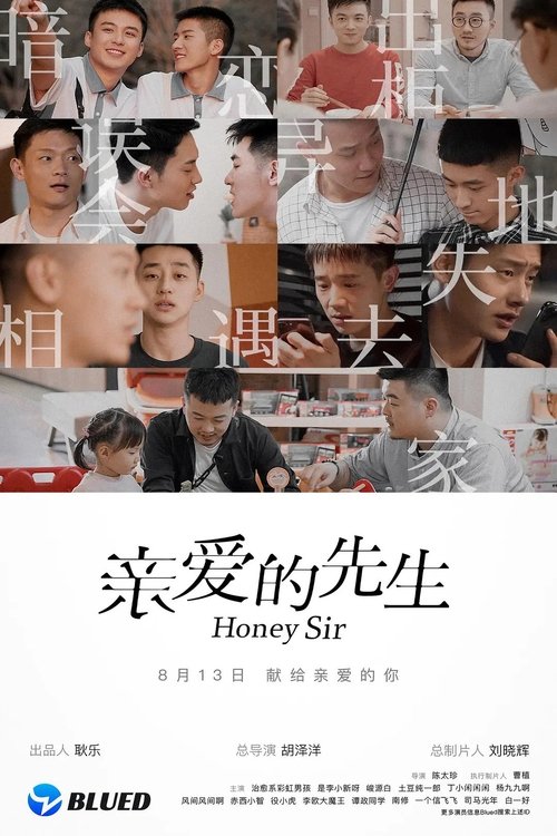 Honey Sir tv show poster