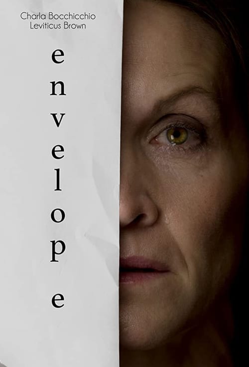 Envelop(e) movie poster