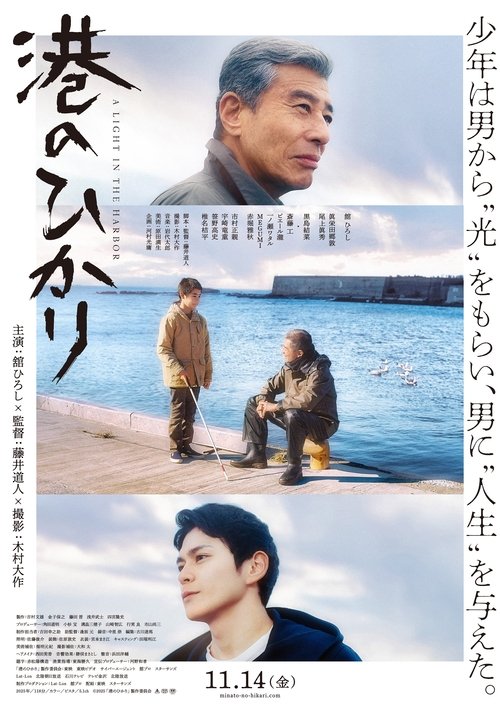A Light in the Harbor movie poster