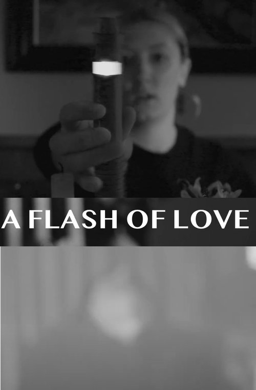A Flash Of Love movie poster