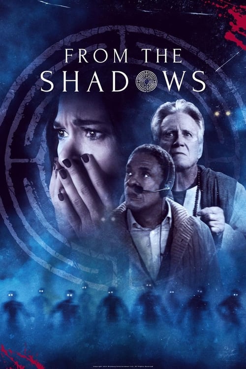 From the Shadows movie poster
