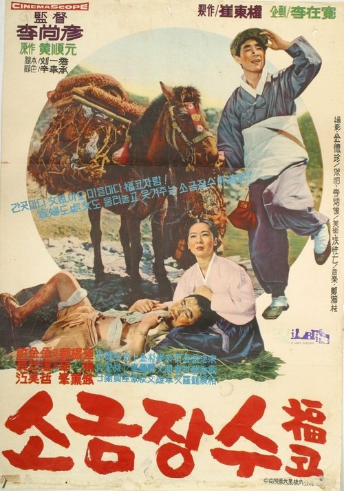 A Salt Peddler movie poster