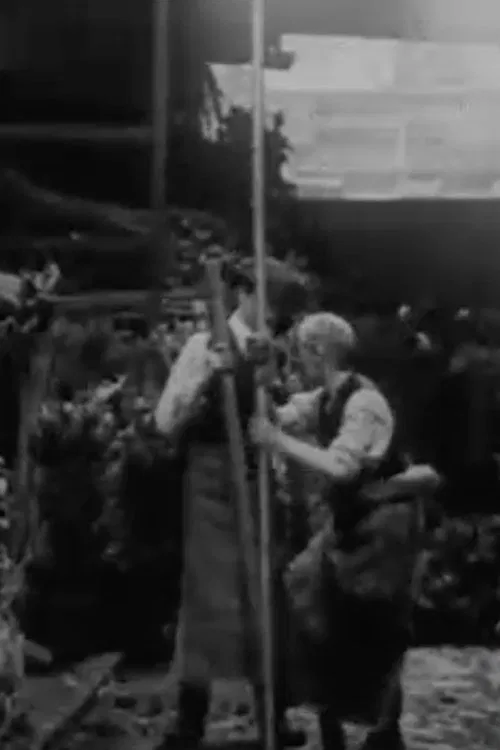 Poster do filme The Manufacture of Walking Sticks