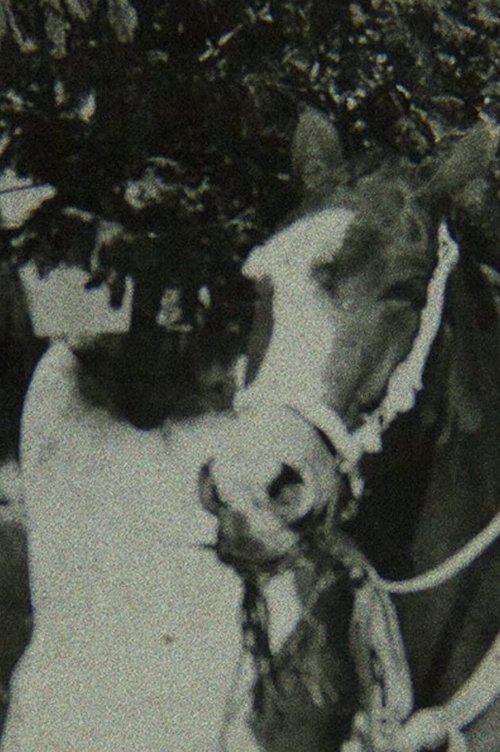 Once Upon a Time in Quizca movie poster