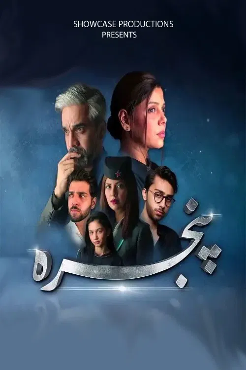 Pinjra tv show poster