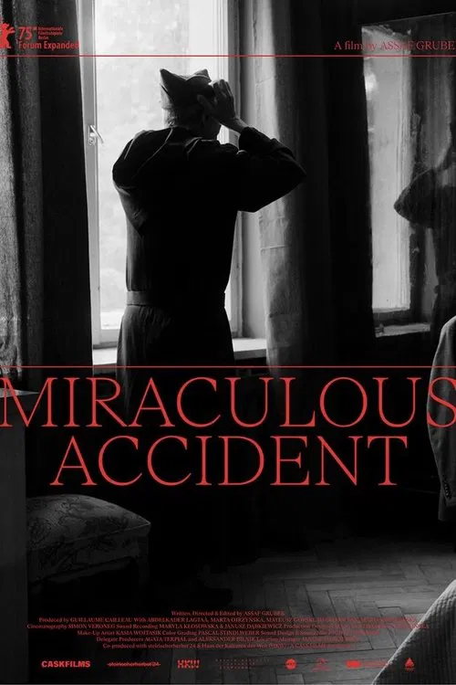 Miraculous Accident movie poster
