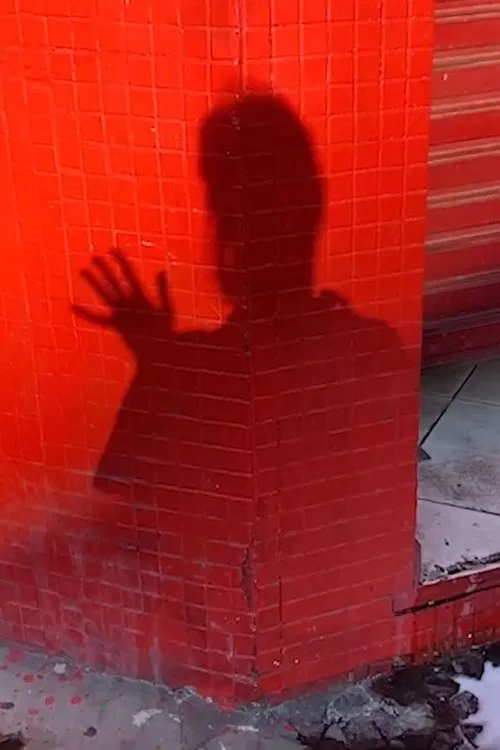 Me conte algo que nunca contou a ninguém movie poster