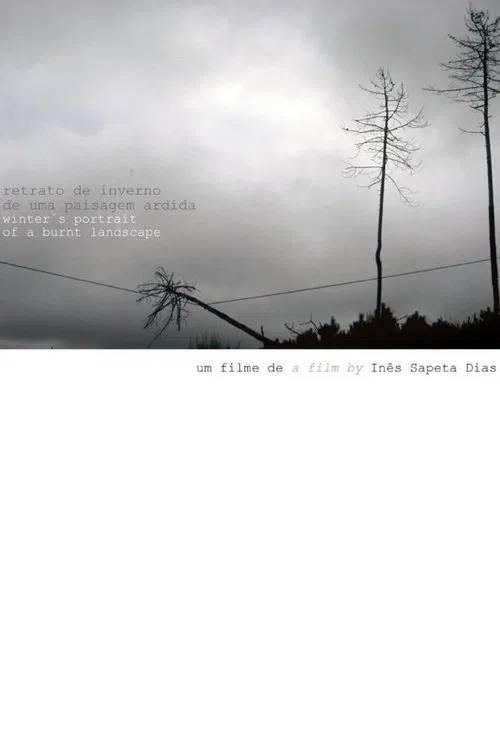Winter's Portrait of a Burnt Landscape movie poster