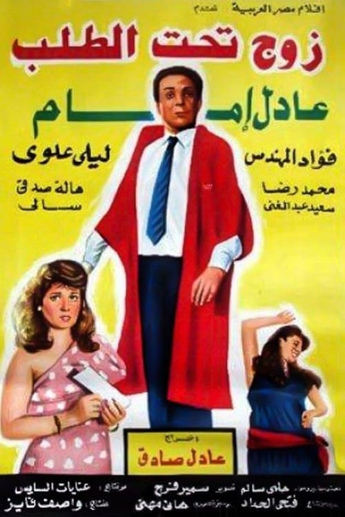 A Husband On Demand movie poster