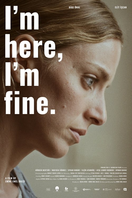 I'm Here, I'm Fine movie poster