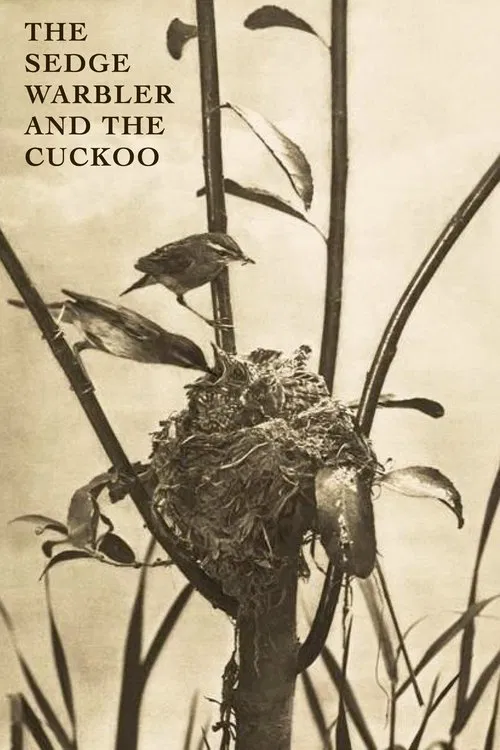 The Sedge Warbler and the Cuckoo movie poster